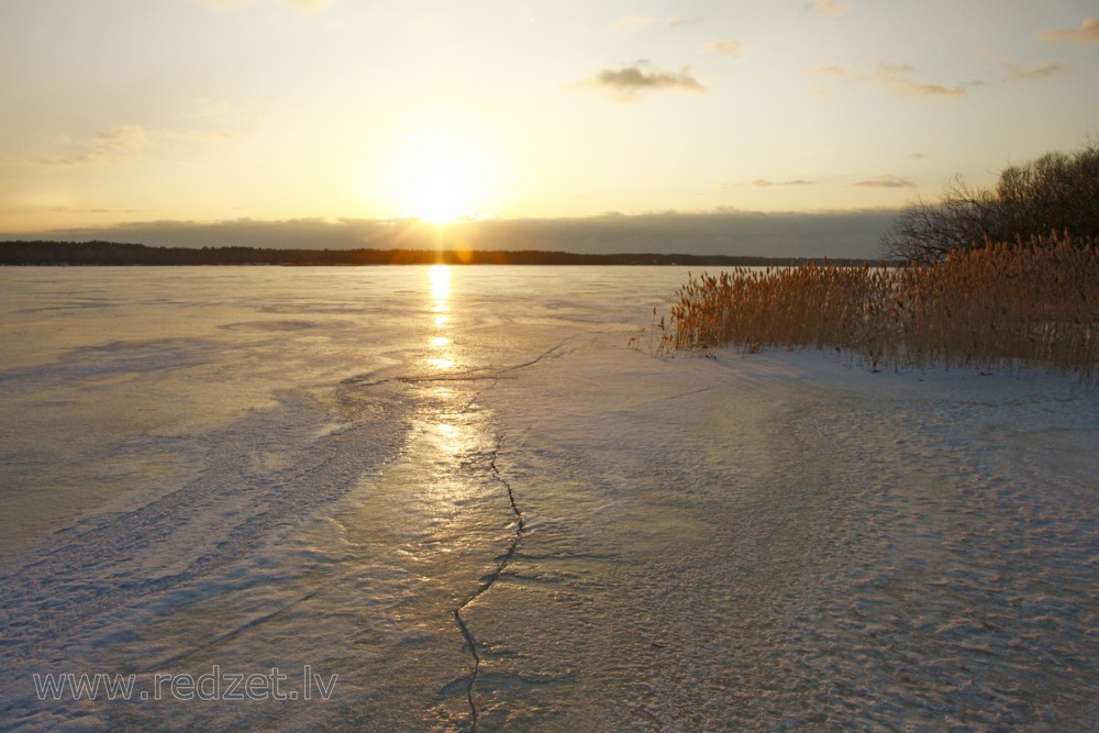 Saulriets Daugavā