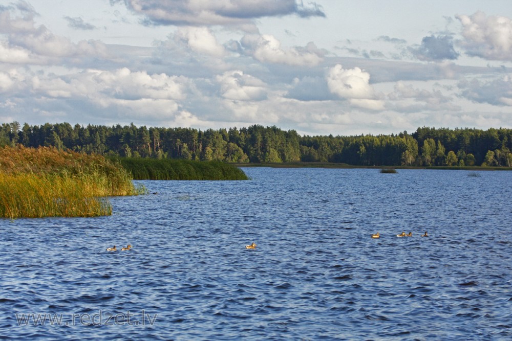 Daugava pie Ikšķiles