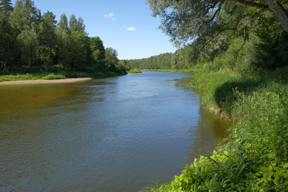 Landscape Of The River Gauja (Krimulda Region)