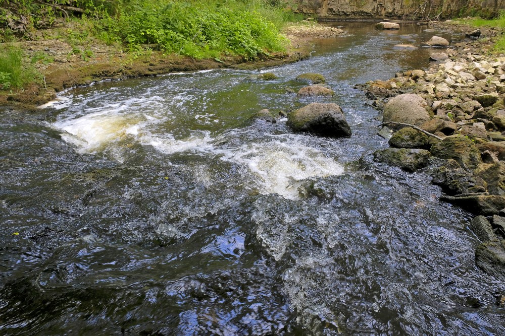 Neliels ūdenskritums Vizlas upē