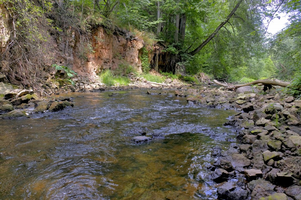 Dolomīta atsegumi Vizlas upes krastā