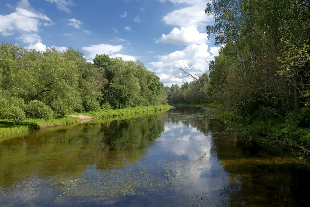 Gauja pie Vidagas