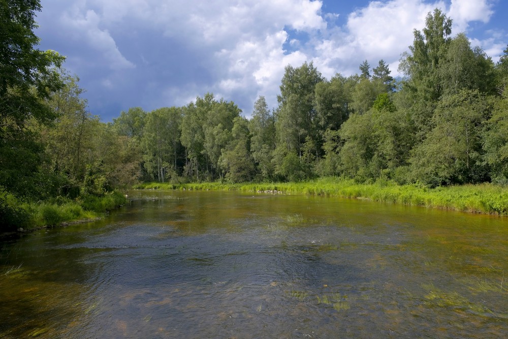 Gauja pie Vidagas