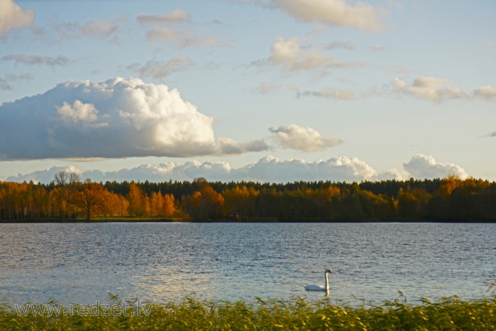 Daugava starp Ogri un Ikšķili