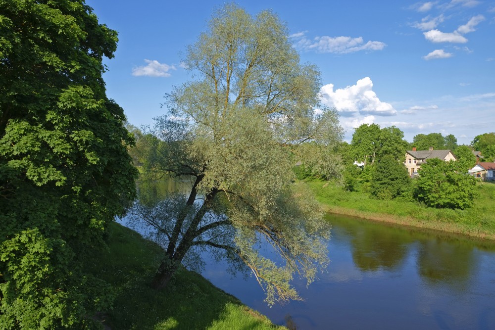 Gauja Near Valmiera