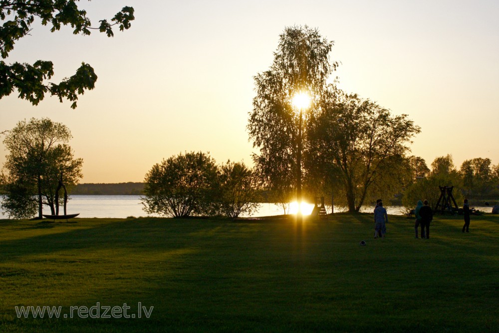 Saulriets Daugavā