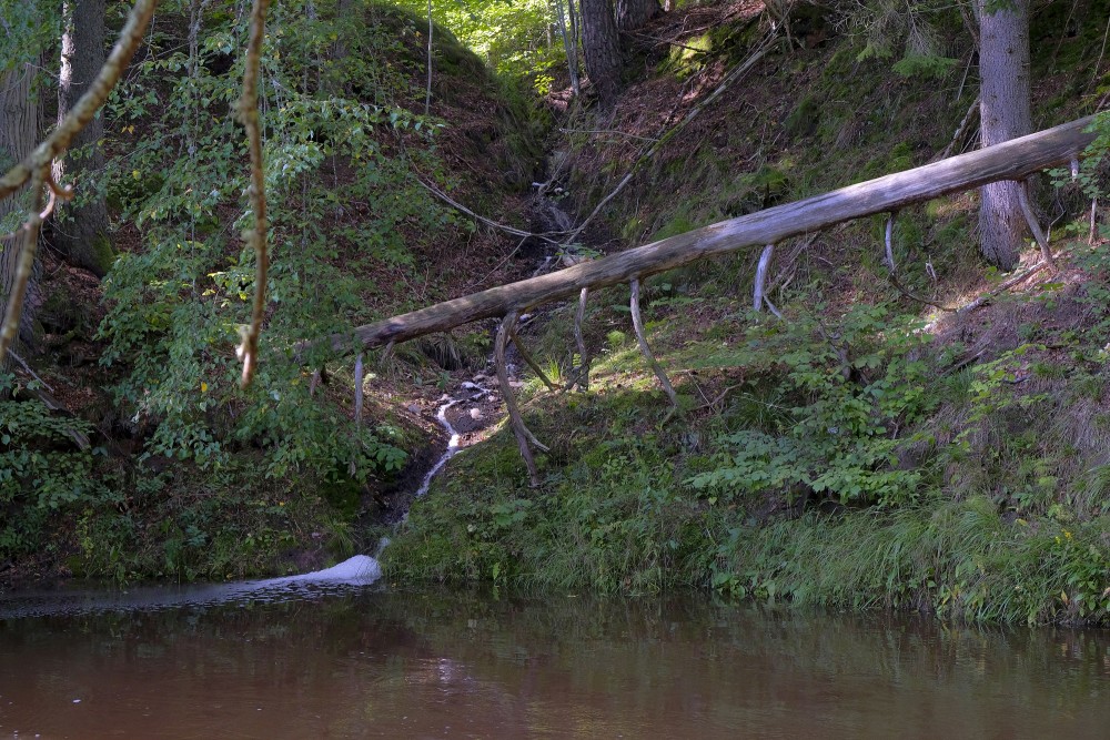 The Stream Flows into the Roja River at the Lūrmaņi Outcrops