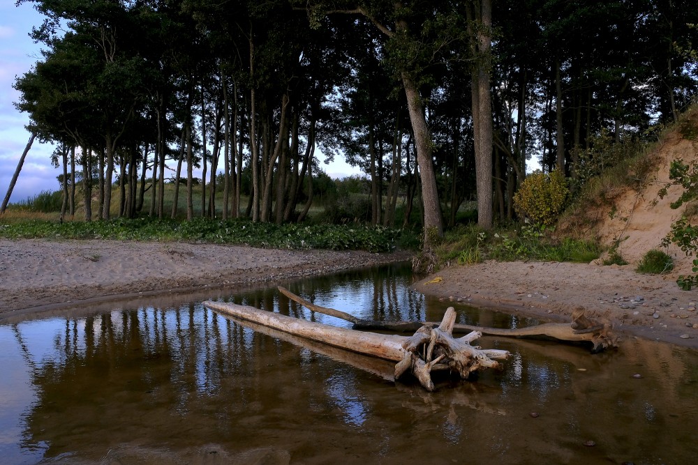 The Muižupīte River Flows into the Sea