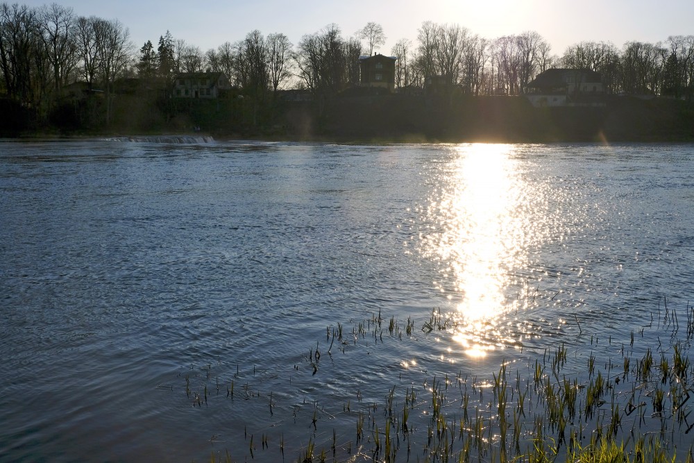 The Sun Shines in Venta River