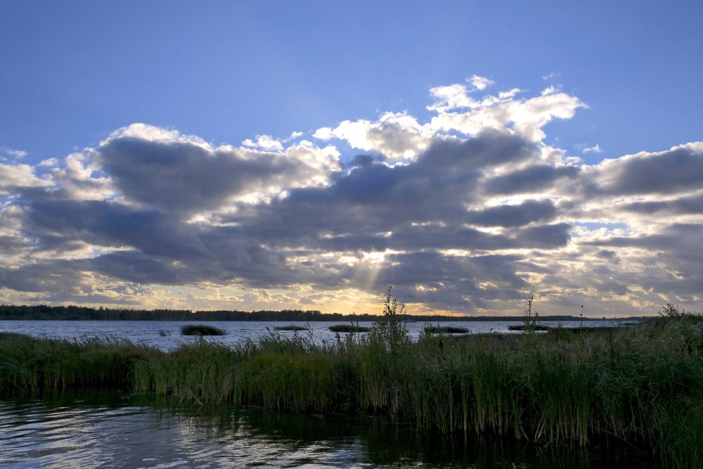 Daugava pie Ikšķiles