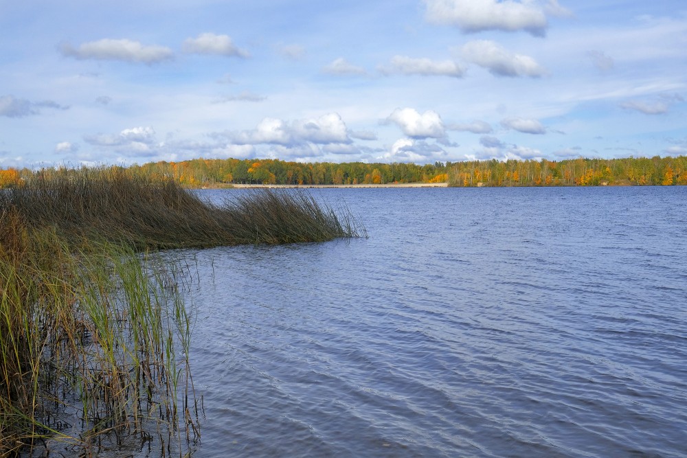 Rudens Daugavas krasts ar niedru saliņām un plašu ūdens panorāmu