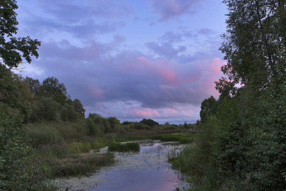 Varduva river canal by Seda watermill at sunset with pink clouds
