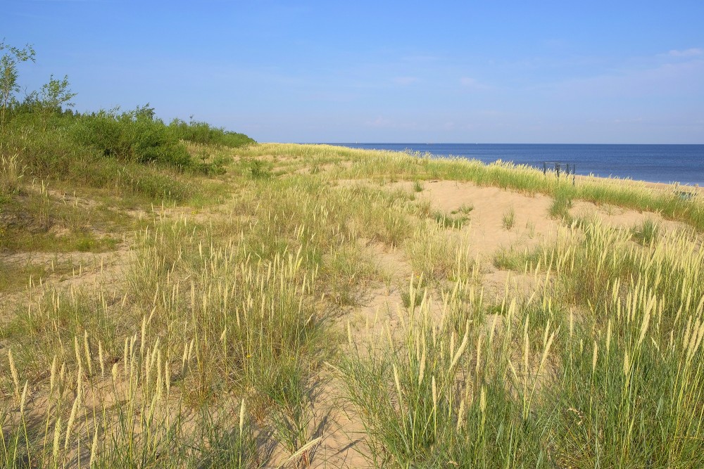 Mangaļsala Dunes