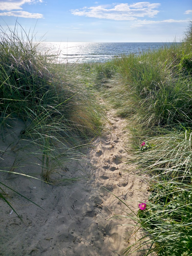Nida Beach Dunes