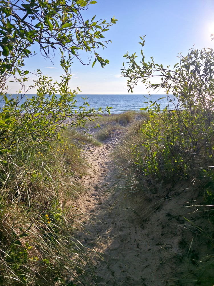 Pape Beach Dunes
