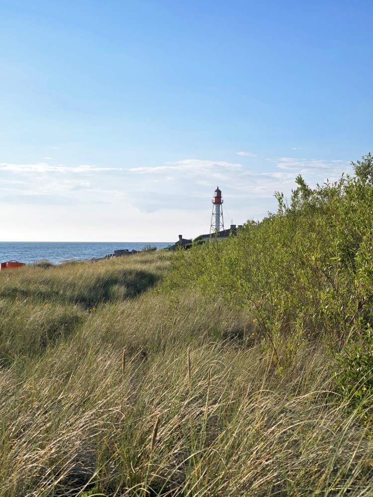 Coastal sand dunes with grasses and Pape lighthouse by the Baltic Sea