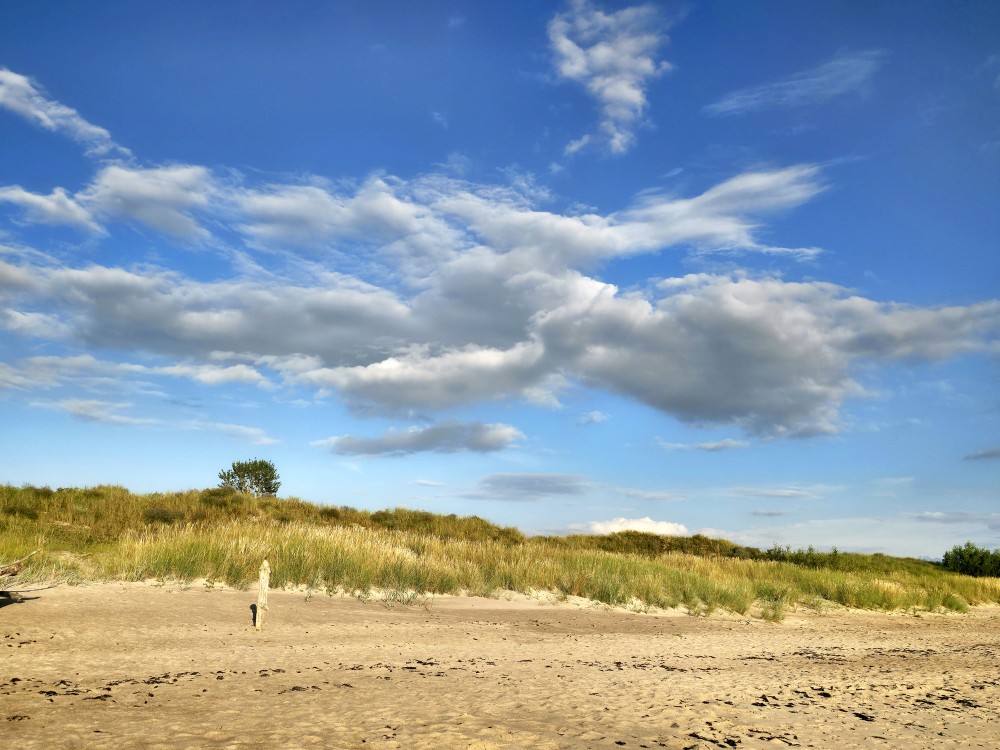 Papes pludmales kāpas