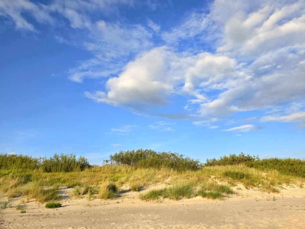 Papes pludmales kāpas