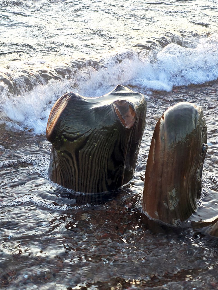 Sunlit Wooden Pier Posts in Shallow Waves