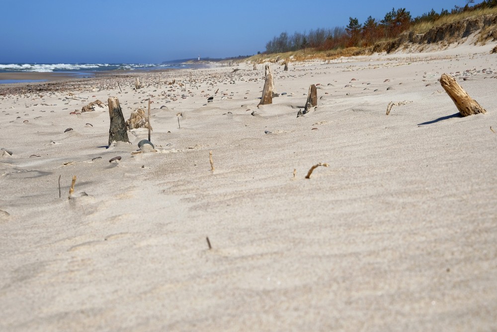 Seaside Near Pape, Latvia