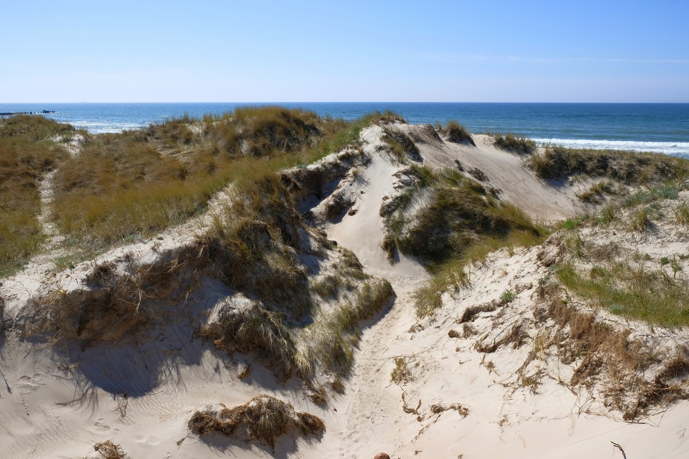 Sand Dunes At Pape, Latvia