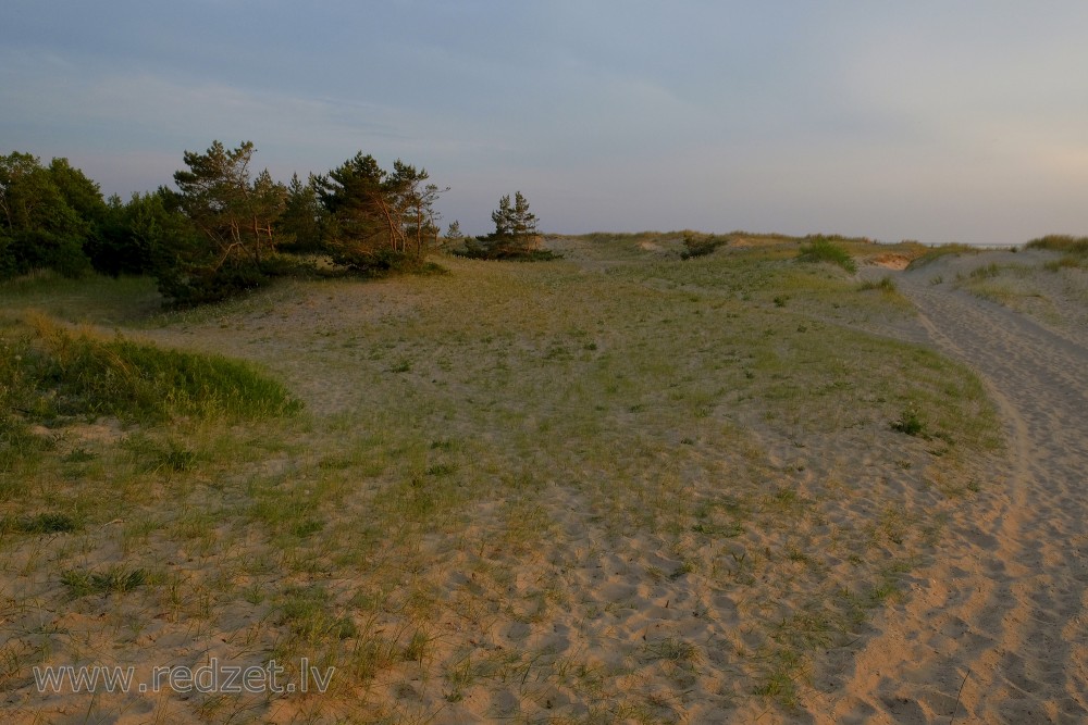 Dunes Near Užava, Latvia