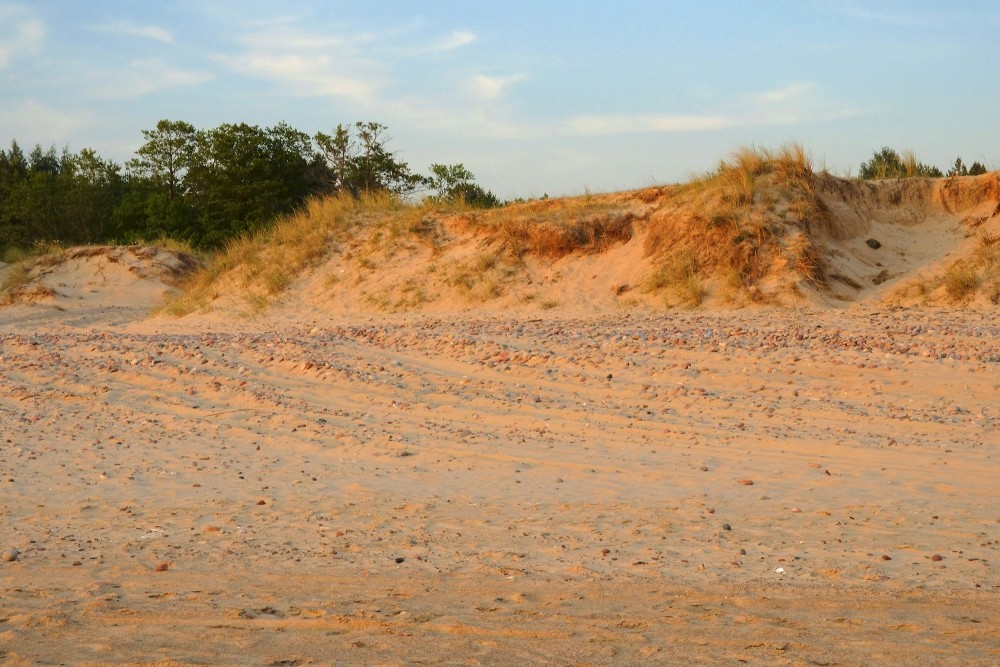 Sand Dunes in the Evening