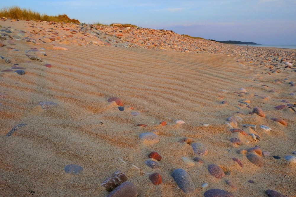 Stony Beach in the Evening Light
