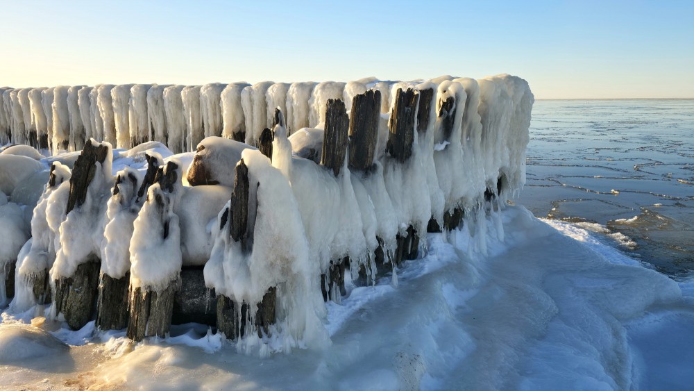 Iced wooden piles at the Pape Canal in winter
