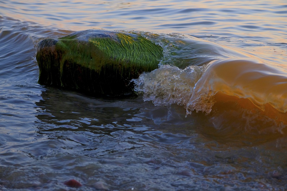 Viļņi apskalo akmeni saulrietā, jūrā Viļņi apskalo akmeni saulrietā, jūrā