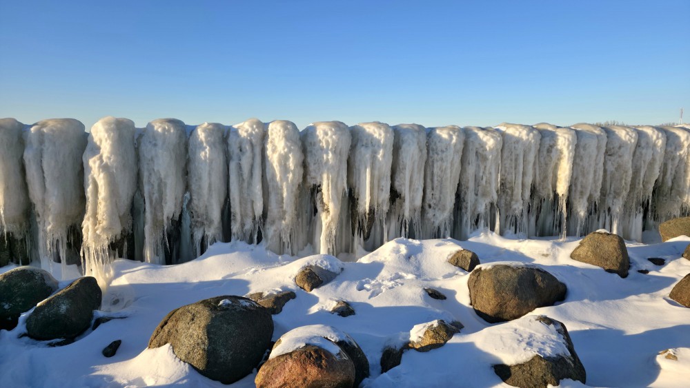 Ice-covered wooden posts on the Pape coast
