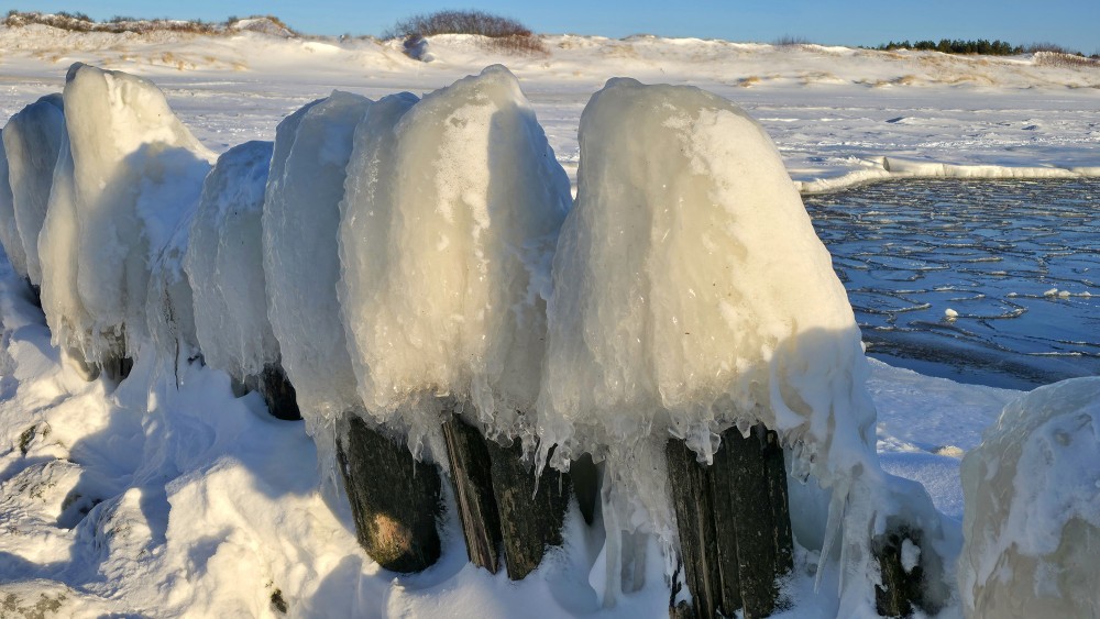 Icy wooden piles by the Pape canal in winter