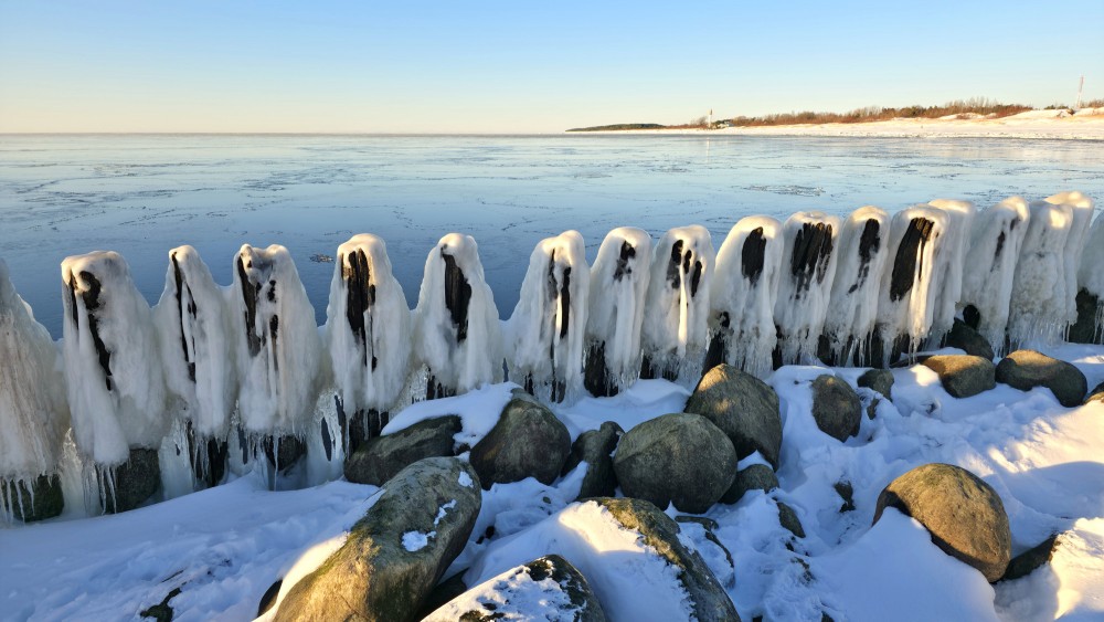 Pape coastal wooden piles and boulders in winter sun