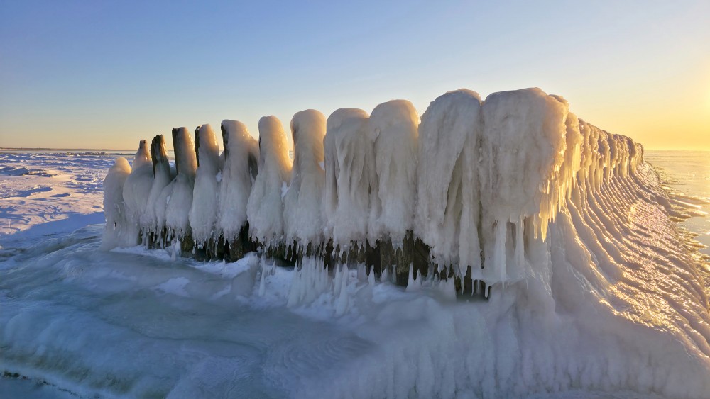 Massive ice sculptures on Pape wooden piles at sunrise