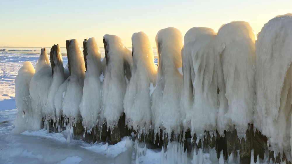 Ice columns illuminated by the winter sun on the Pape coast