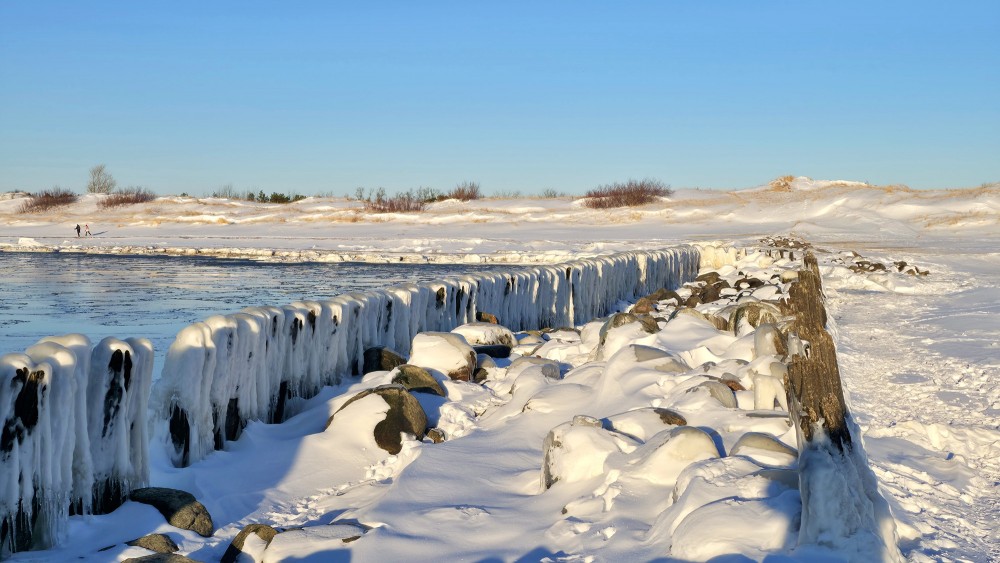 Icy old wooden groynes by the Pape canal in winter