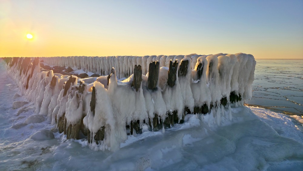 Icy old wooden groynes by the Pape canal in sunset light