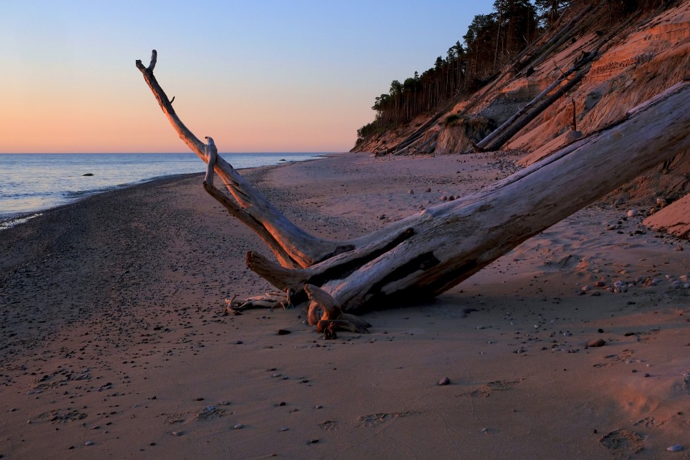 Steep Coast between Staldzene and Liepene at Sunset