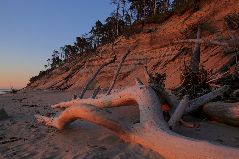 Steep Coast between Staldzene and Liepene at Sunset