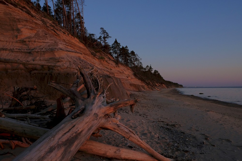 Steep Coast between Staldzene and Liepene at Sunset