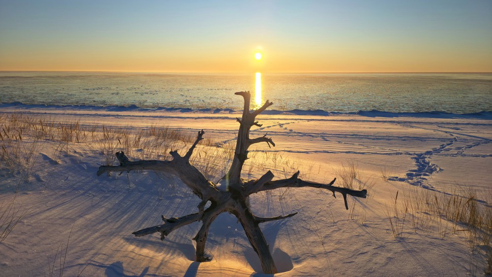 Sunset over the Baltic Sea with a tree root in the foreground