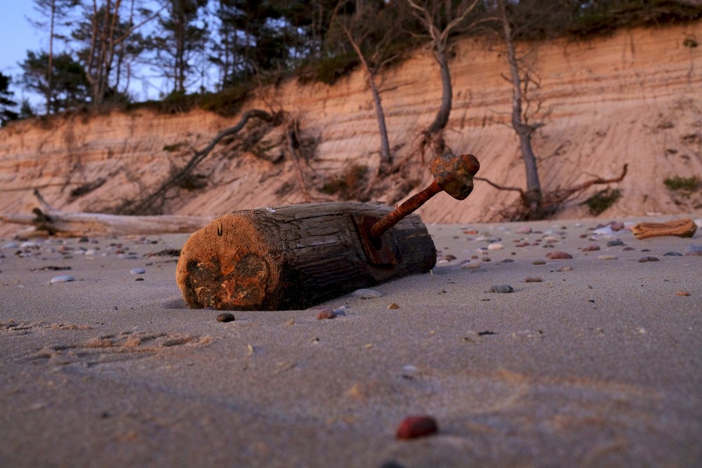 A washed-up tree with a screw on the seashore