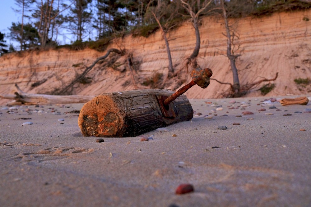 Izskalots koks ar skrūvi Staldzenes jūrmalā Izskalots koks ar skrūvi Staldzenes jūrmalā