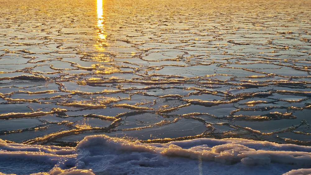 Sunset reflection on the pancake ice covered sea surface