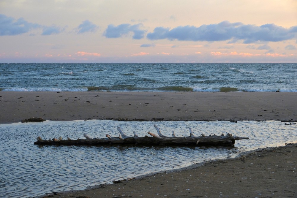 Jūras ainava Jūras ainava