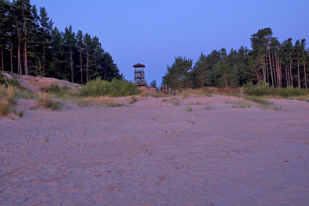 Skats uz Kolkas putnu torni