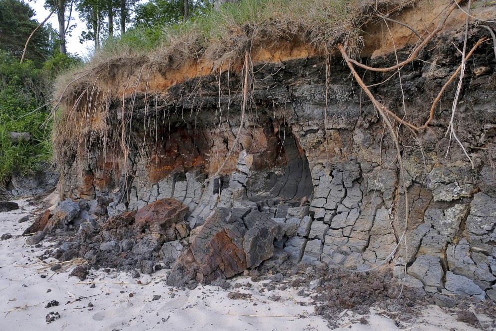 Staldzenes stāvkrasta atsegumi, sapropelis