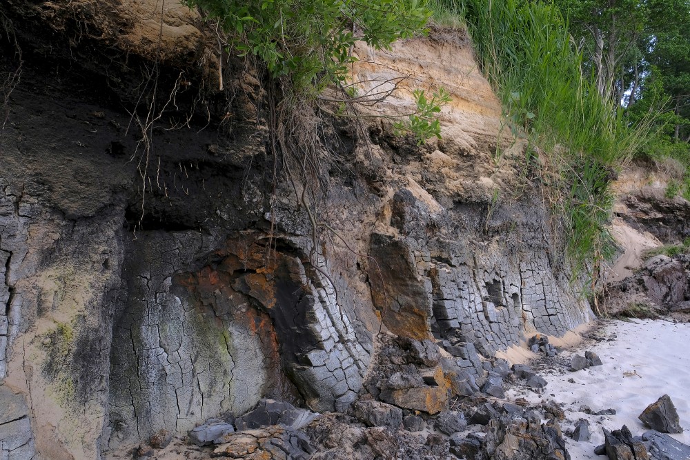 Outcrops of Steep coastline of Staldzene, Sapropel