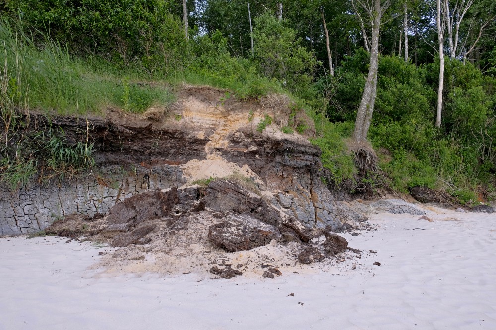 Outcrops of Steep coastline of Staldzene, Sapropel