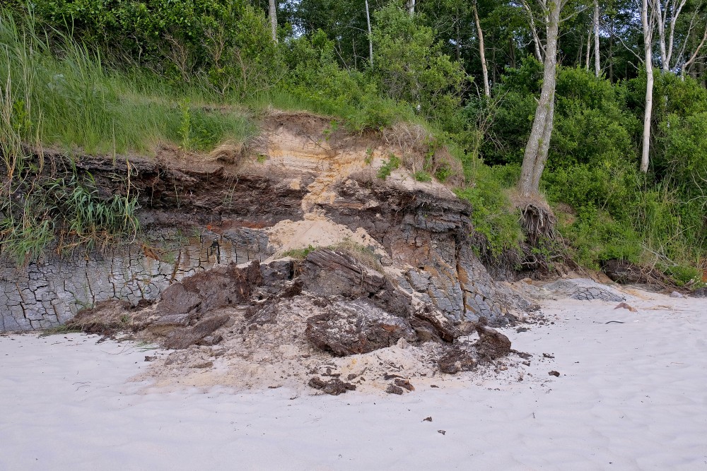 Staldzenes stāvkrasta atsegumi, sapropelis